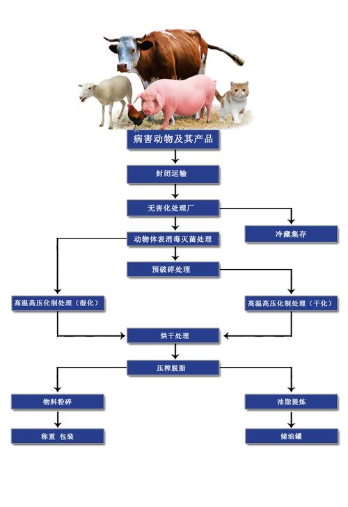 工艺与技术